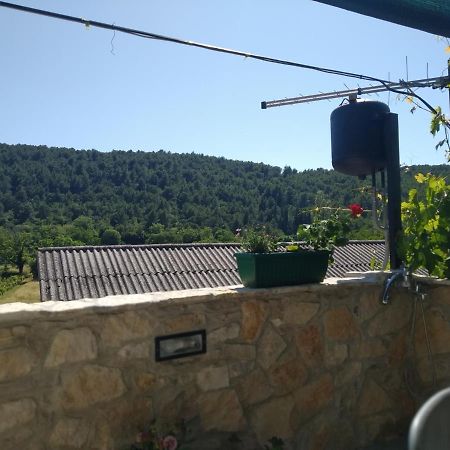 Milica App Skradinsko Polje 24 Hotell Exteriör bild